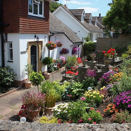 Villa Ashlea At Amberley Sidmouth Esterno foto