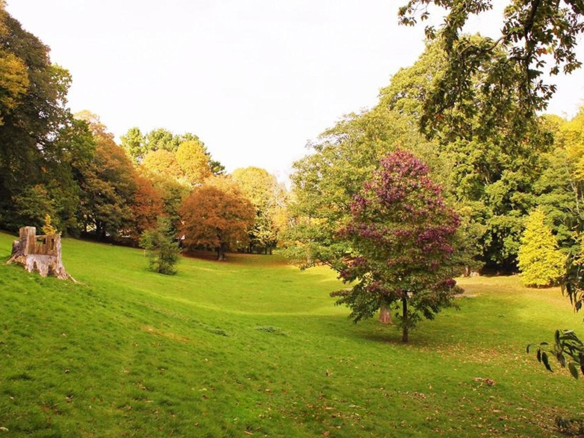 Villa Ashlea At Amberley Sidmouth Esterno foto